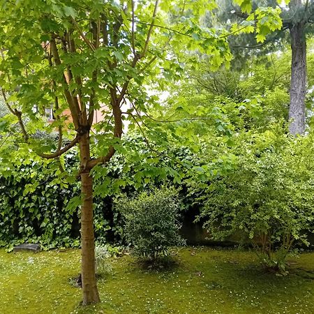 Casa Vacanze Lida Marina Di Carrara Bagian luar foto