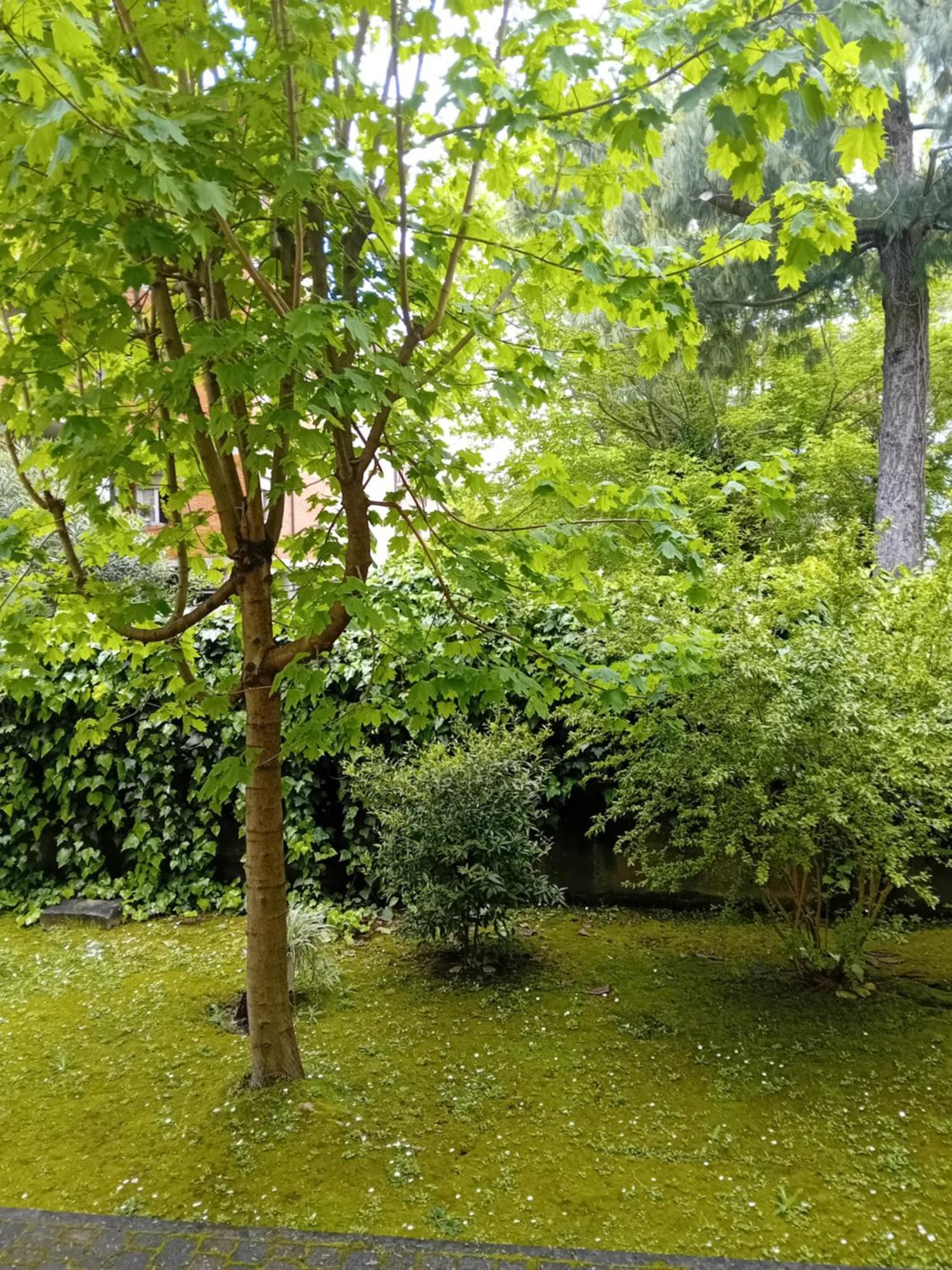 Casa Vacanze Lida Marina Di Carrara Bagian luar foto